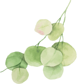 Thiep Xanh Thien Nhien